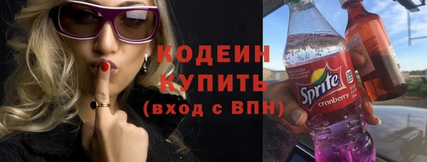 мдпв Ладушкин