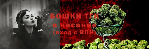 бошки Лабытнанги