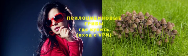 бошки Лабытнанги