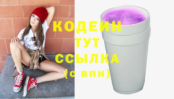 мдпв Ладушкин