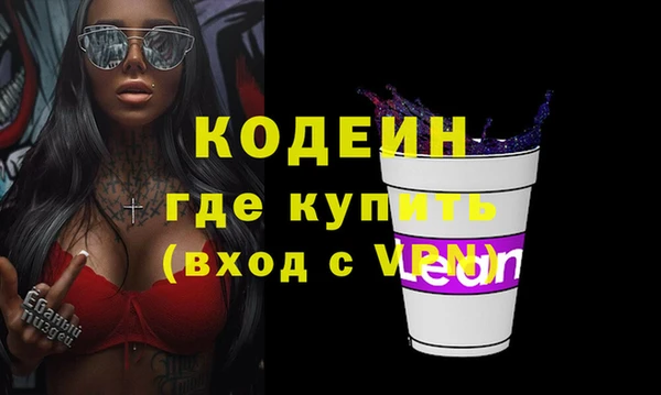 мдпв Ладушкин
