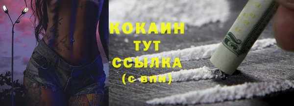 мдпв Ладушкин