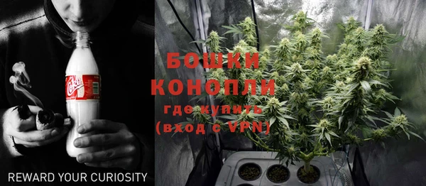 мдпв Ладушкин