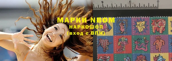 мдпв Ладушкин