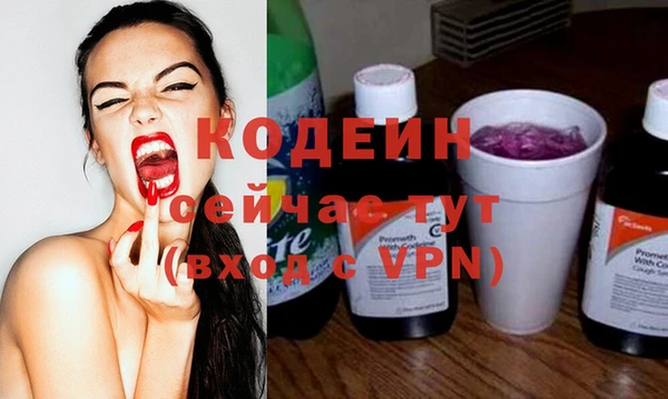 мдпв Ладушкин
