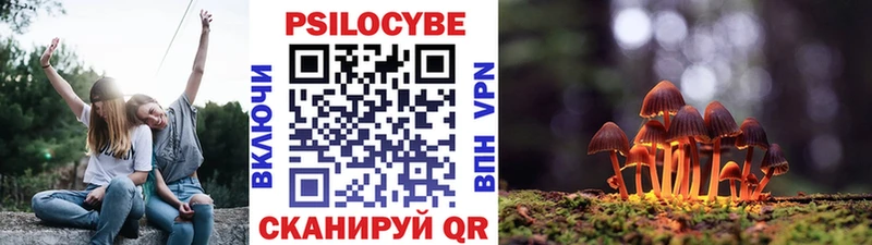 Псилоцибиновые грибы Psilocybine cubensis  Купить  Сенгилей 